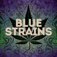 Blue Strains