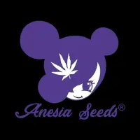 Anesia Autoflowering Seeds