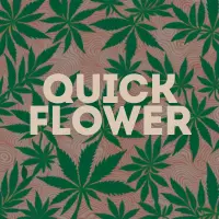 Quick Flowering Time Seeds