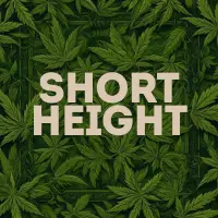 Short Height Cannabis Seeds