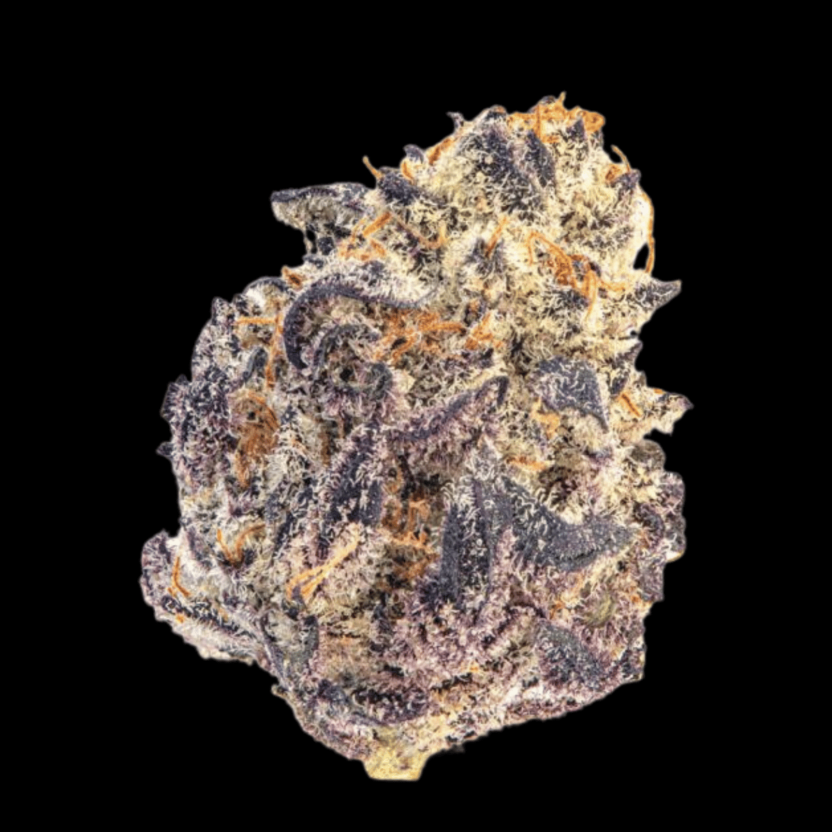 Cherry Mac Muffin by Growers Choice