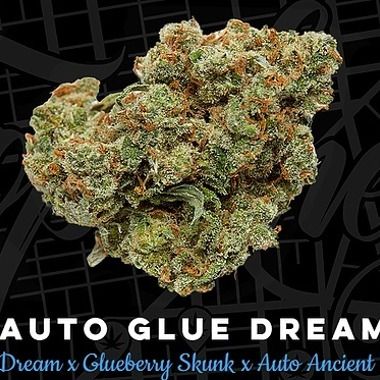 Glue Dream Auto