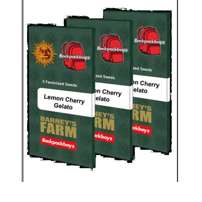 Lemon Cherry Gelato Feminized Cannabis Seeds