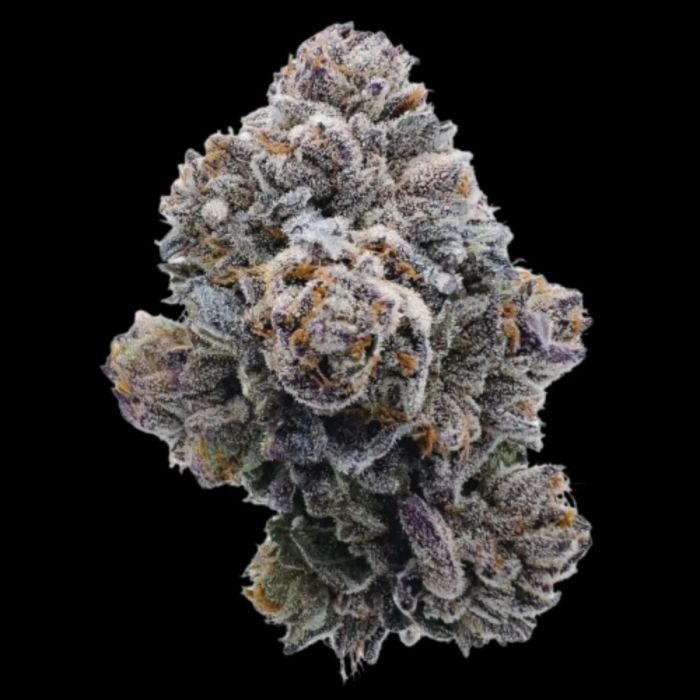 Pink Glitterbomb Growers Choice Feminized Seeds