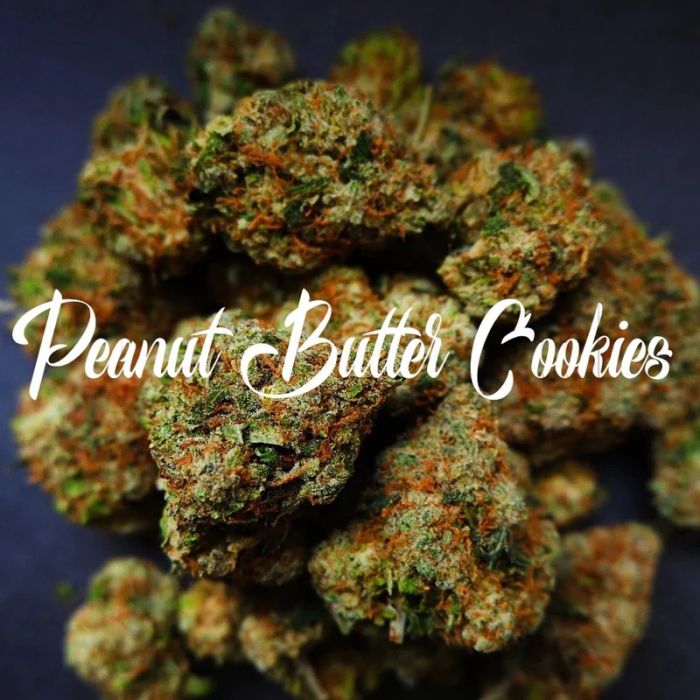 Peanut Butter Cookies