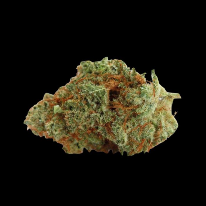 Naranja Biscotti Fast Version Feminized Seeds