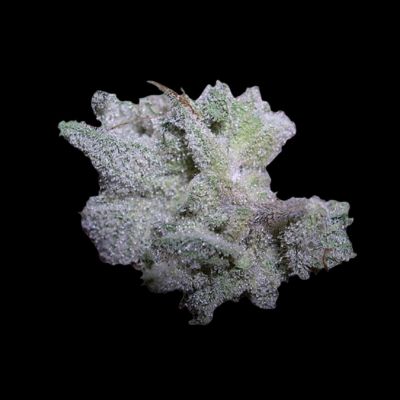 Braindamage Autoflowering Feminized Cannabis Seeds