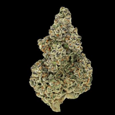 Crazy Roses Fast Version Feminized Cannabis Seeds