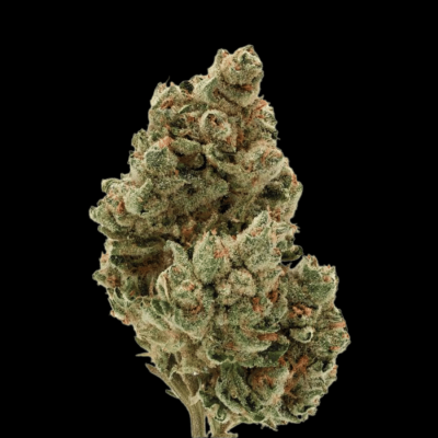 Frosty Gelato Autoflower Feminized Cannabis Seeds