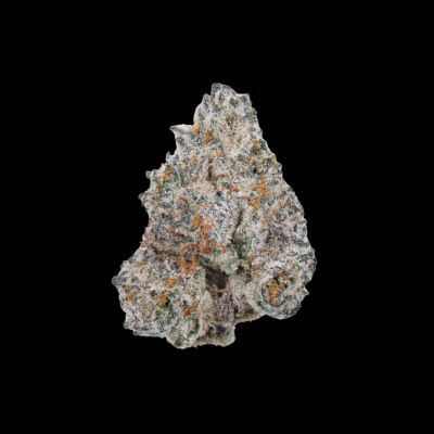 White Truffle Feminized Cannabis Seeds