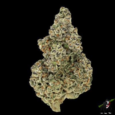 Crazy Roses Fast Version Feminized Seeds