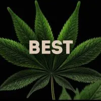 Best Cannabis Seeds 2024