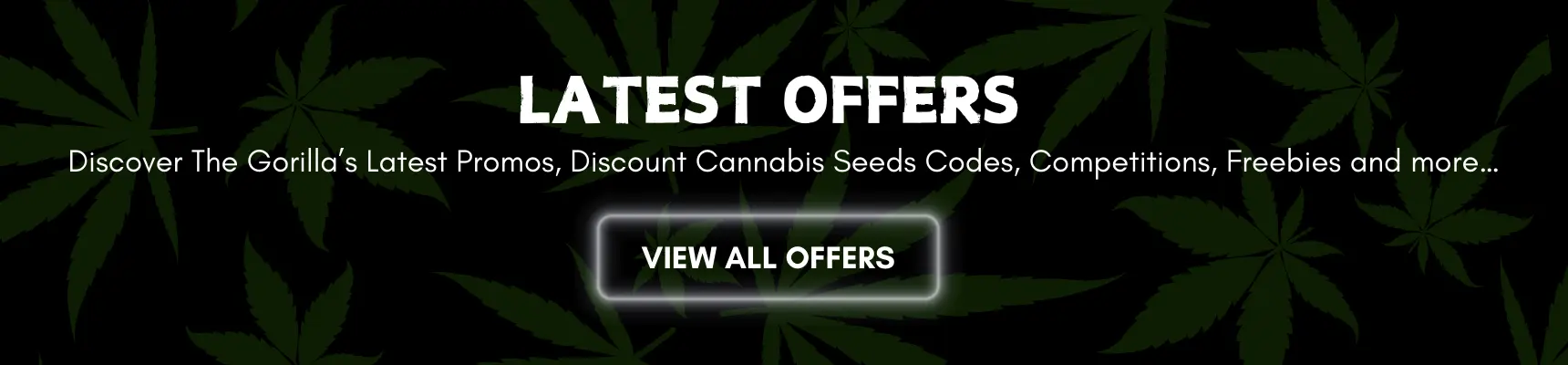 Discount Cannabis Seeds