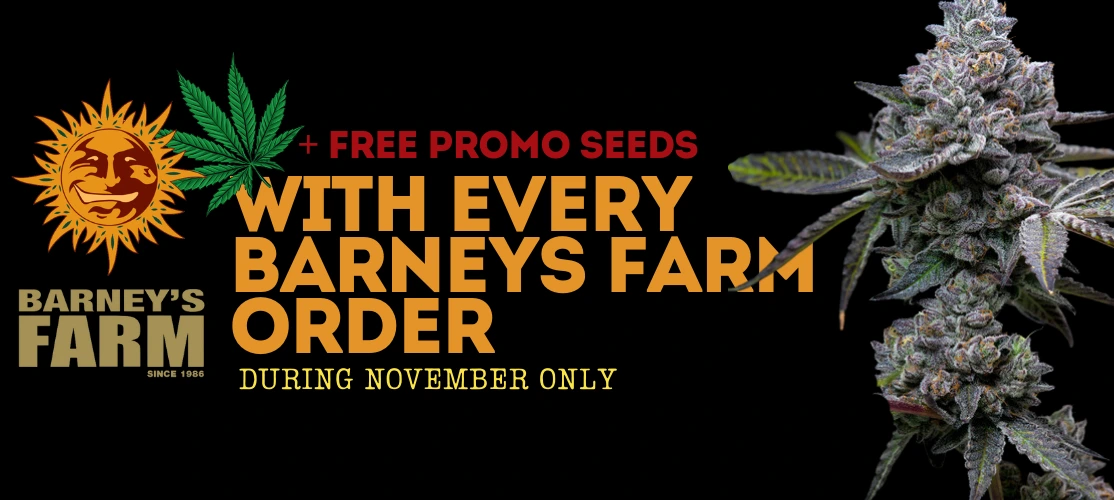 Barneys Farm Cannabis Seeds