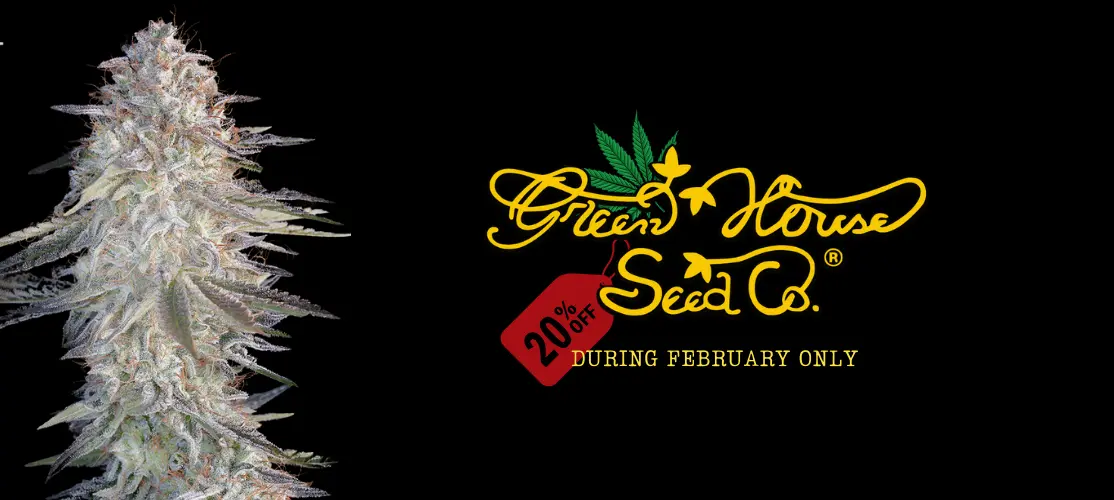 20% Off Green House Seeds!