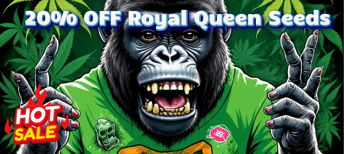 Royal Queen Seeds Sale