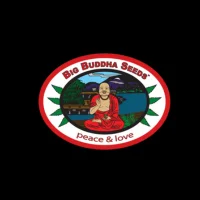 Big Buddha Seeds Cannabis Seeds