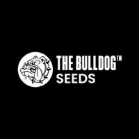 Bulldog Seeds Cannabis Seeds