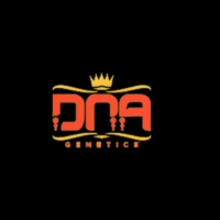 DNA Genetics Cannabis Seeds