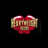 Heavyweight Seeds Cannabis Seeds