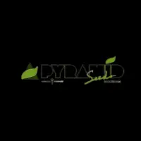 Pyramid Seeds Cannabis Seeds