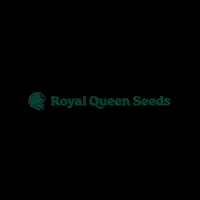 Royal Queen Seeds Cannabis Seeds