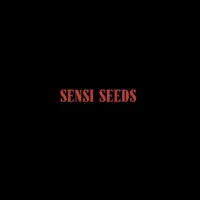 Sensi Seeds Cannabis Seeds