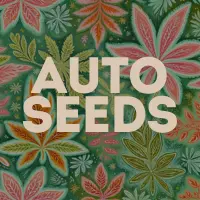 AutoFlowering Cannabis Seeds