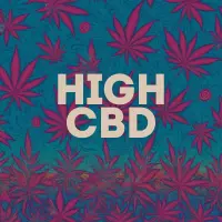 High CBD Cannabis Seeds