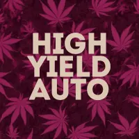 High Yielding AutoFlowering Cannabis Seeds