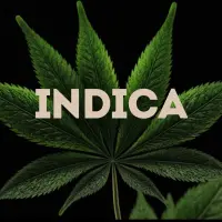 Indica Cannabis Seeds