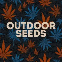 Outdoor Cannabis Seeds