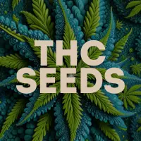 High THC Cannabis Seeds